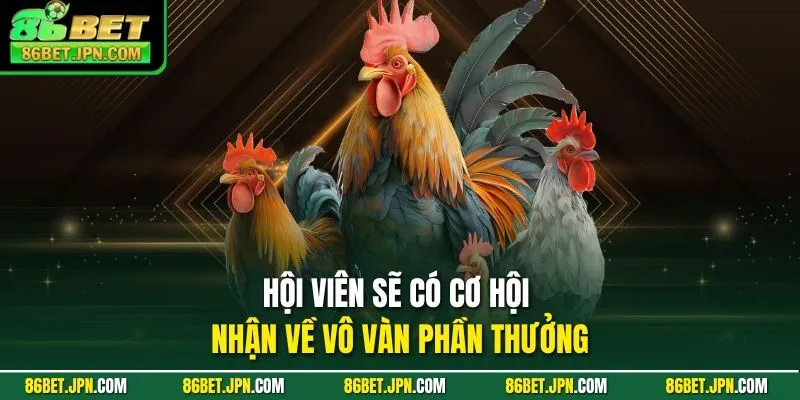 Hội viên sẽ có cơ hội nhận về vô vàn phần thưởng